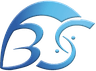 Bridge Service Logo